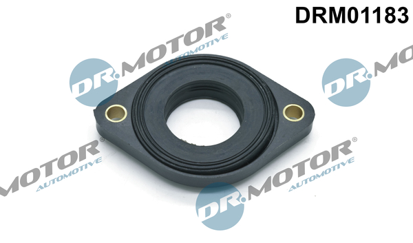 LIZARTE DRM01183 LIZARTE DRM01183