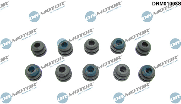 LIZARTE DRM01003S LIZARTE DRM01003S