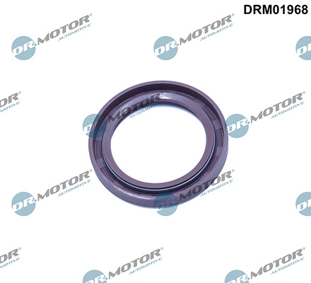 LIZARTE DRM01968 LIZARTE DRM01968