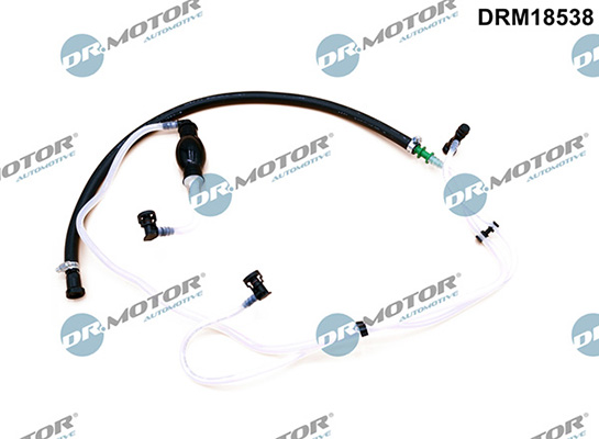 LIZARTE DRM18538