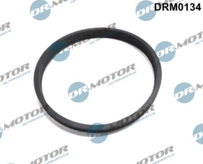 LIZARTE DRM0134