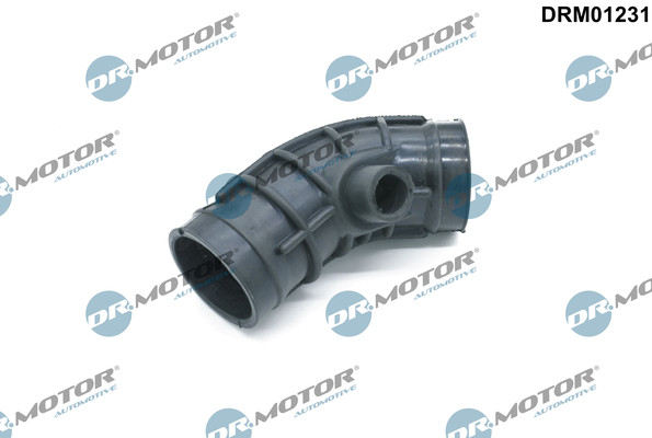 LIZARTE DRM01231