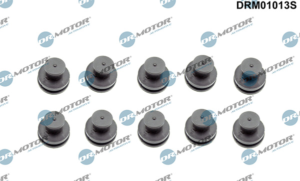 LIZARTE DRM01013S LIZARTE DRM01013S