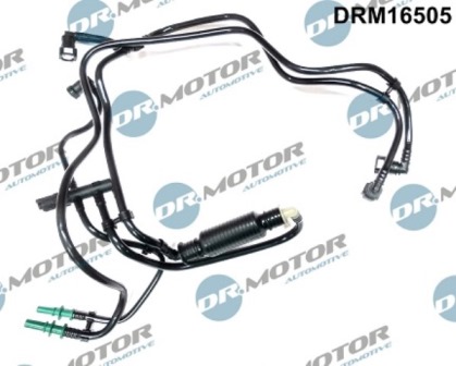 LIZARTE DRM16505