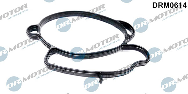 LIZARTE DRM0614