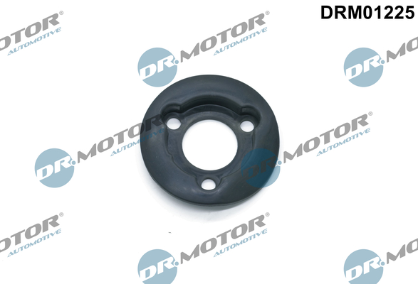 LIZARTE DRM01225 LIZARTE DRM01225