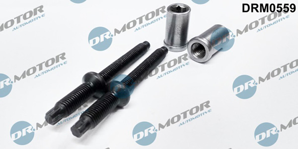 LIZARTE DRM0559 LIZARTE DRM0559