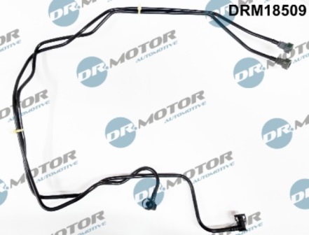 LIZARTE DRM18509