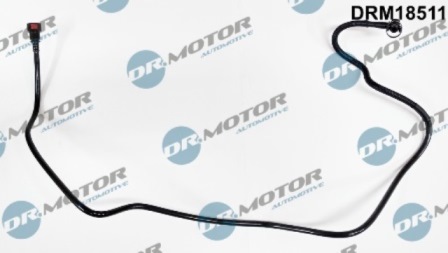 LIZARTE DRM18511