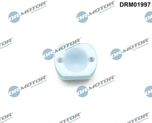 LIZARTE DRM01997 LIZARTE DRM01997