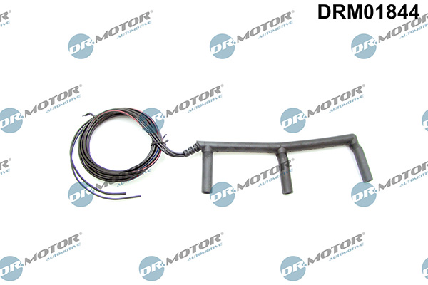 LIZARTE DRM01844