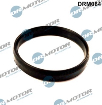 LIZARTE DRM064 LIZARTE DRM064