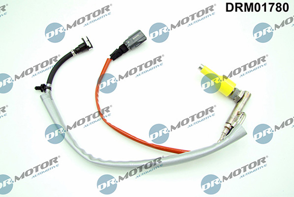 LIZARTE DRM01780