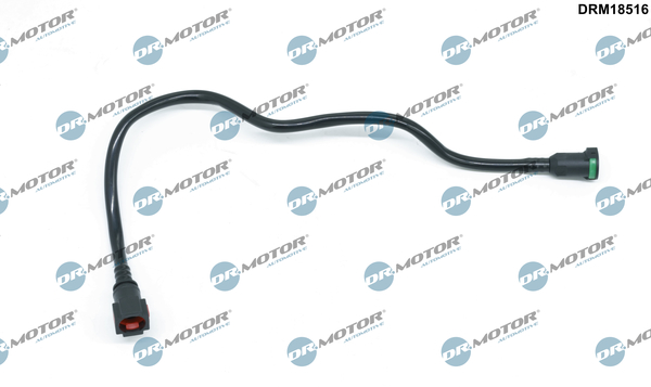 LIZARTE DRM18516
