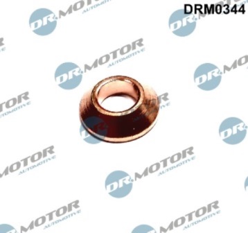 LIZARTE DRM0344