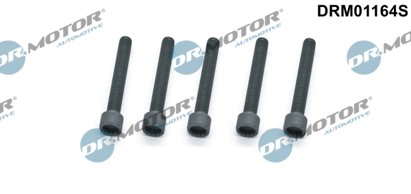LIZARTE DRM01164S LIZARTE DRM01164S