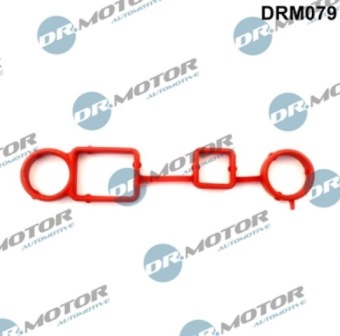 LIZARTE DRM079