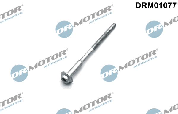 LIZARTE DRM01077