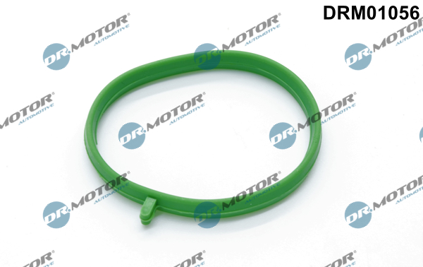 LIZARTE DRM01056