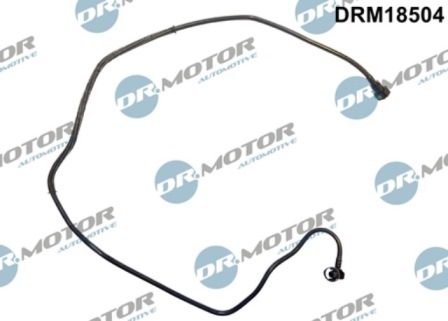 LIZARTE DRM18504