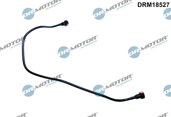 LIZARTE DRM18527