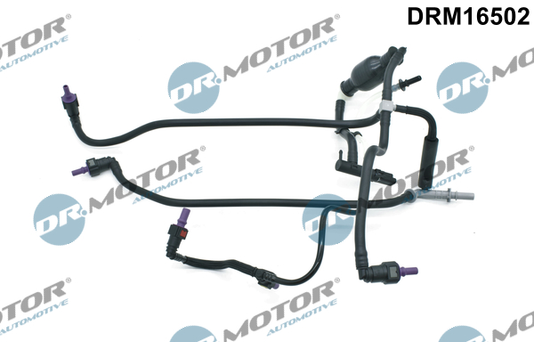 LIZARTE DRM16502