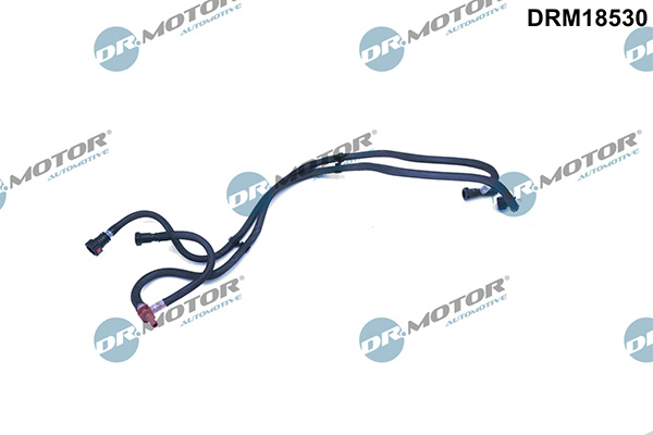 LIZARTE DRM18530 LIZARTE DRM18530