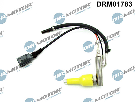 LIZARTE DRM01783