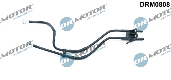 LIZARTE DRM0808