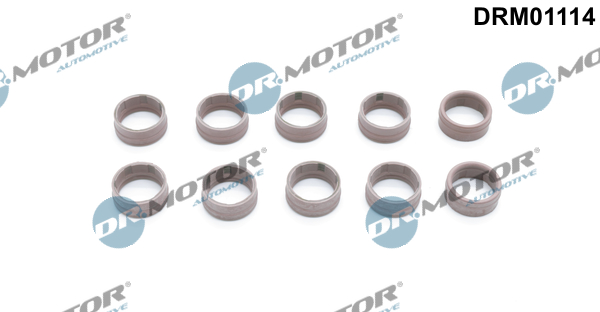 LIZARTE DRM01114 LIZARTE DRM01114