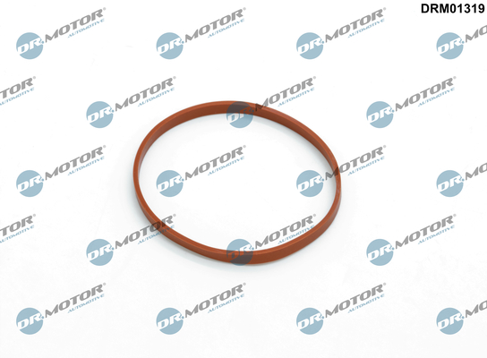 LIZARTE DRM01319 LIZARTE DRM01319