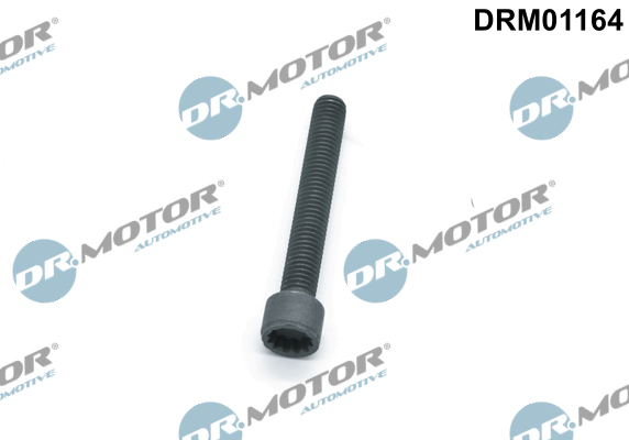 LIZARTE DRM01164 LIZARTE DRM01164