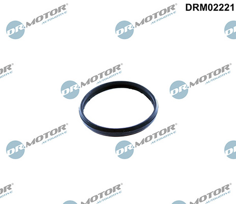 LIZARTE DRM02221 LIZARTE DRM02221