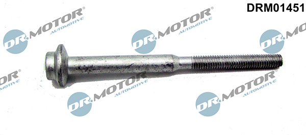 LIZARTE DRM01451 LIZARTE DRM01451