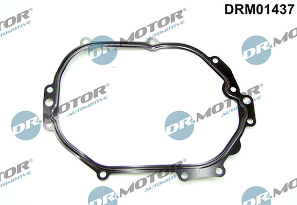 LIZARTE DRM01437 LIZARTE DRM01437