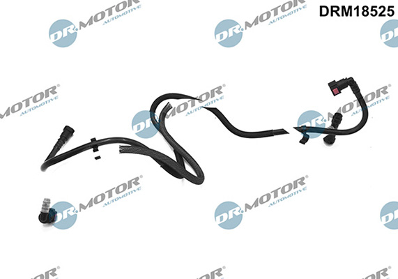 LIZARTE DRM18525 LIZARTE DRM18525