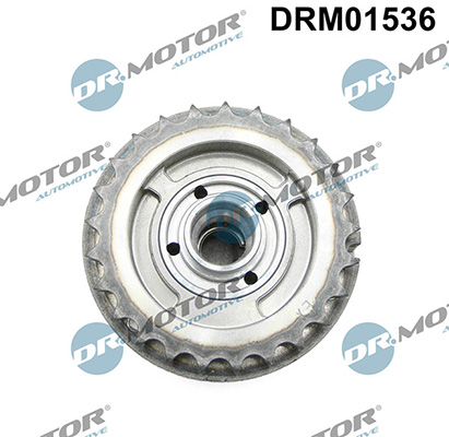 LIZARTE DRM01536