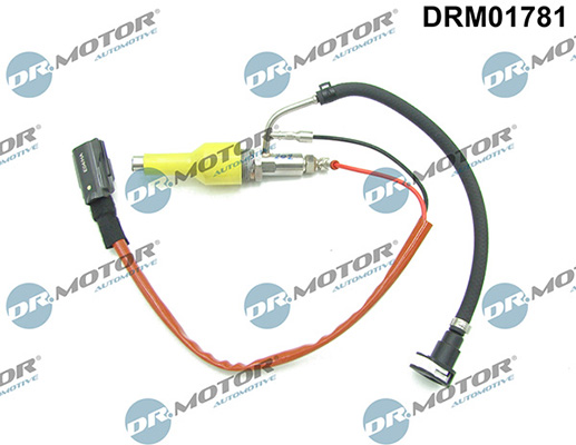 LIZARTE DRM01781