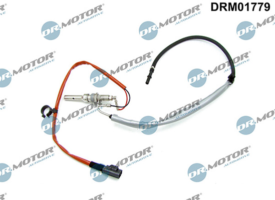 LIZARTE DRM01779