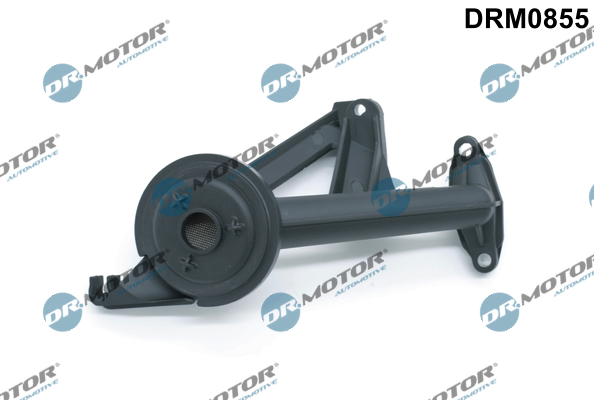 LIZARTE DRM0855