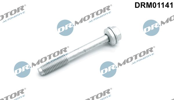 LIZARTE DRM01141