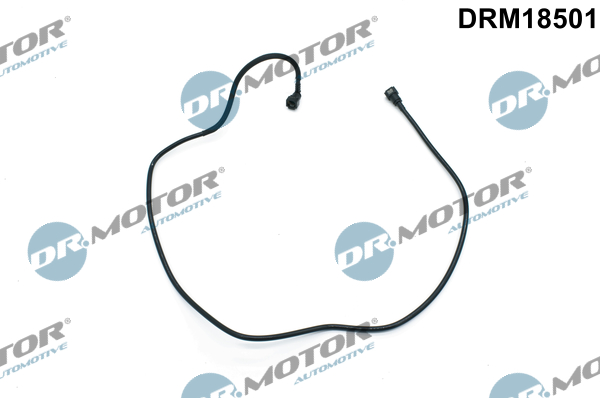 LIZARTE DRM18501