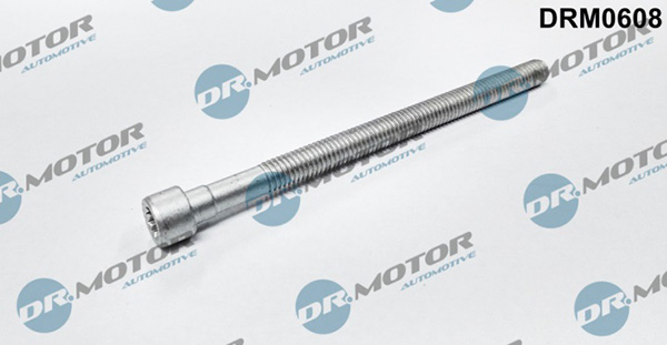 LIZARTE DRM0608