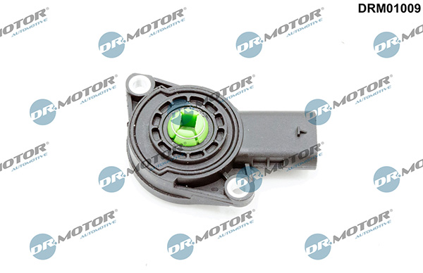 LIZARTE DRM01009