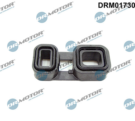 LIZARTE DRM01730 LIZARTE DRM01730
