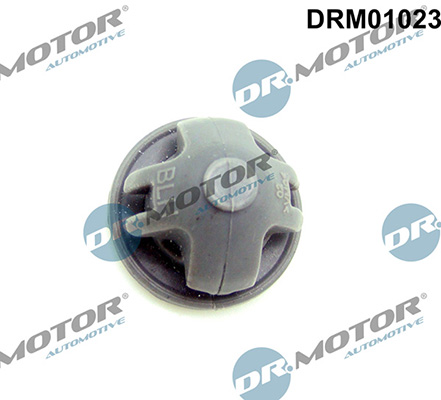 LIZARTE DRM01023 LIZARTE DRM01023