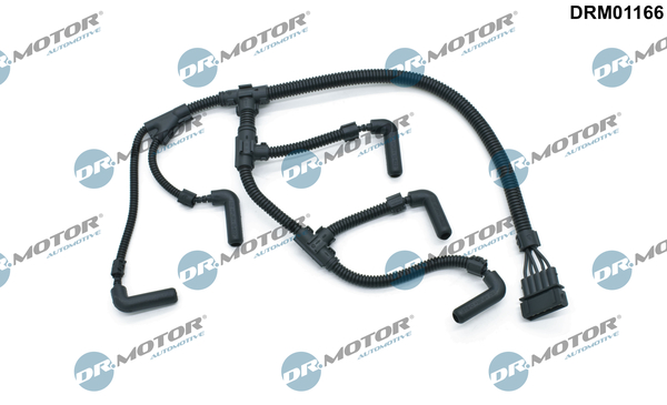 LIZARTE DRM01166