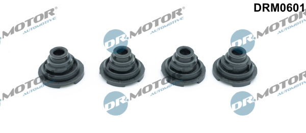 LIZARTE DRM0601