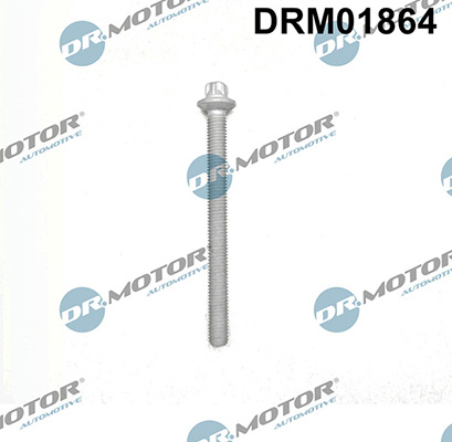 LIZARTE DRM01864