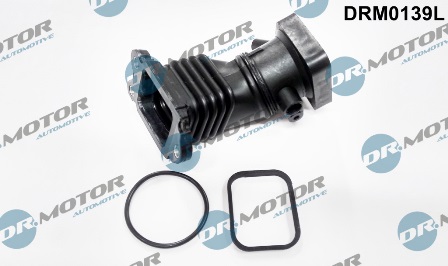 LIZARTE DRM0139L
